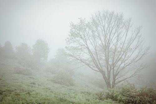 Туманное утро в горах