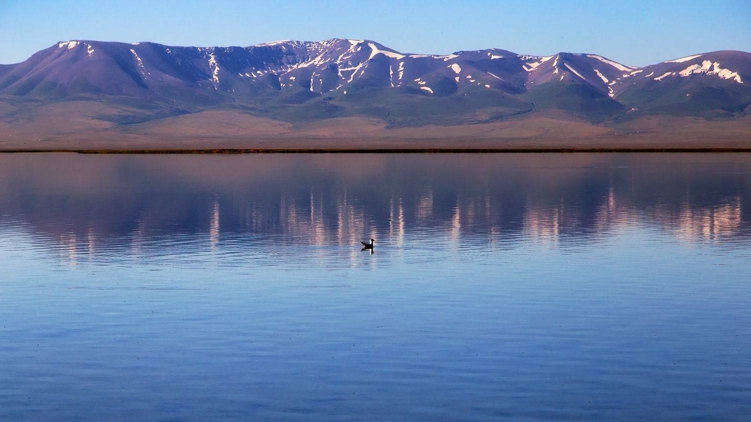 кыргызстан, сон-куль, Элина Магалимова
