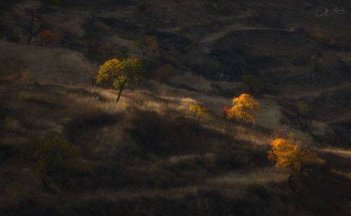 Осенние светотени