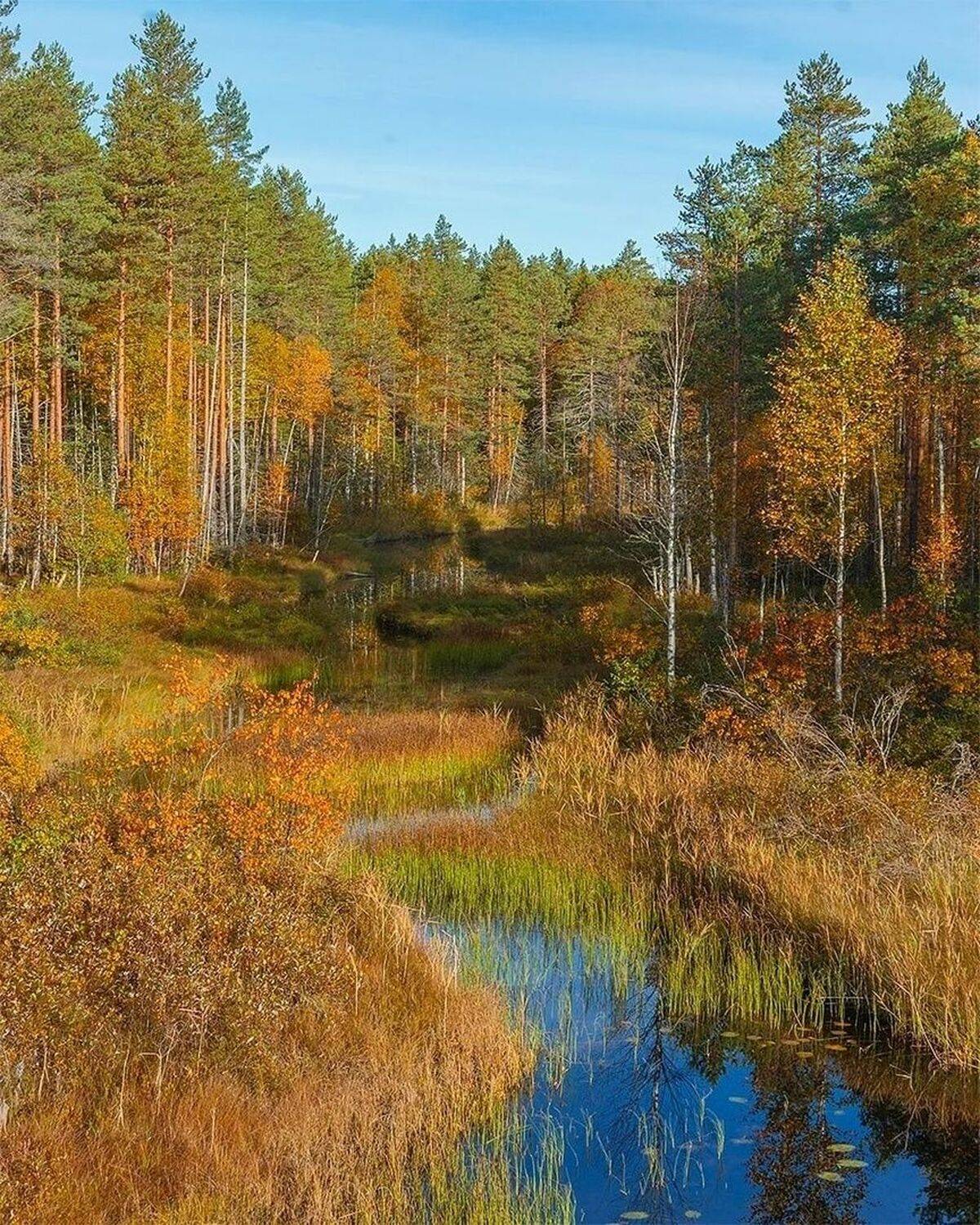 , Петр Косых