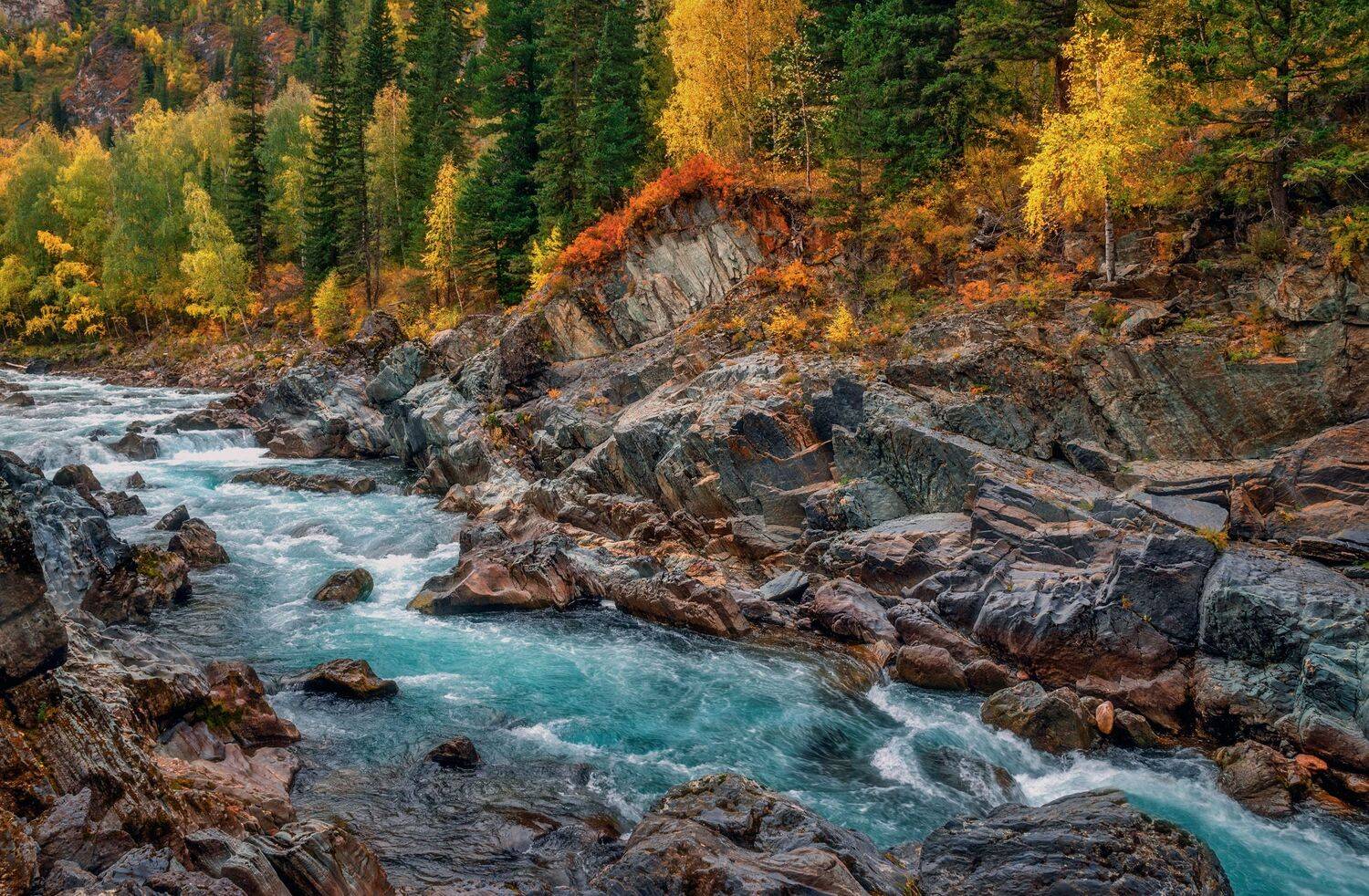 алтайский край,осень,река кумир, Лора Павлова