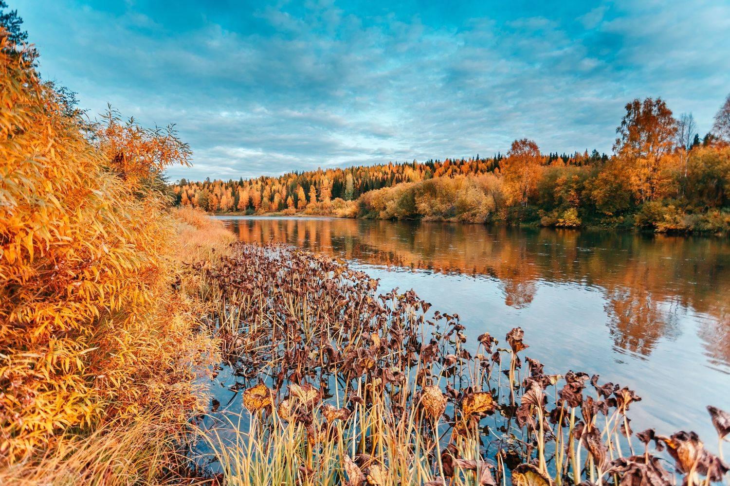пейзаж, река, север, Lisauskas Ilya