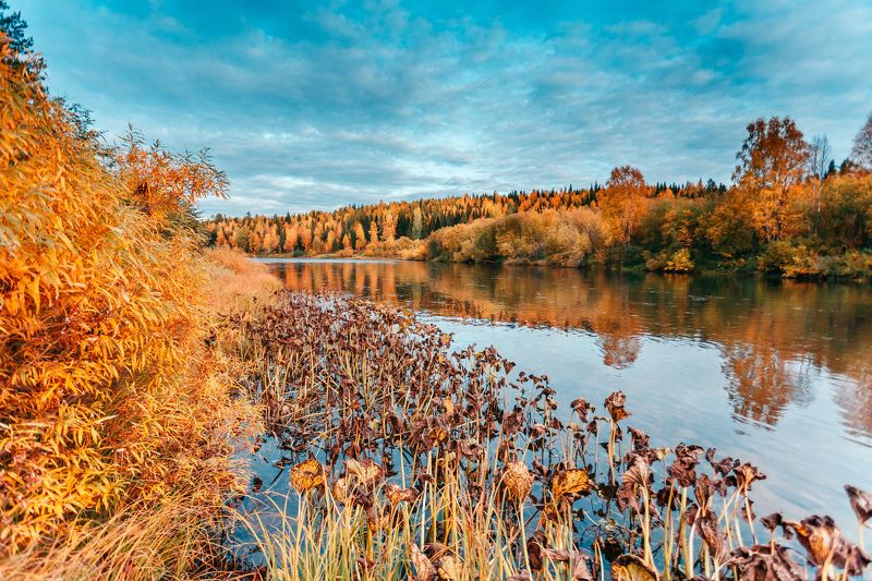пейзаж, река, север *** фото превью
