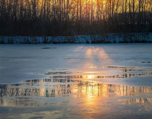 Рисунки весны