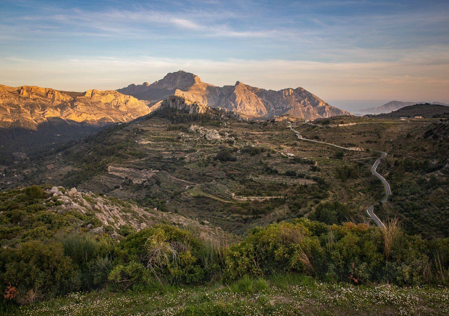 , Алекс Римский