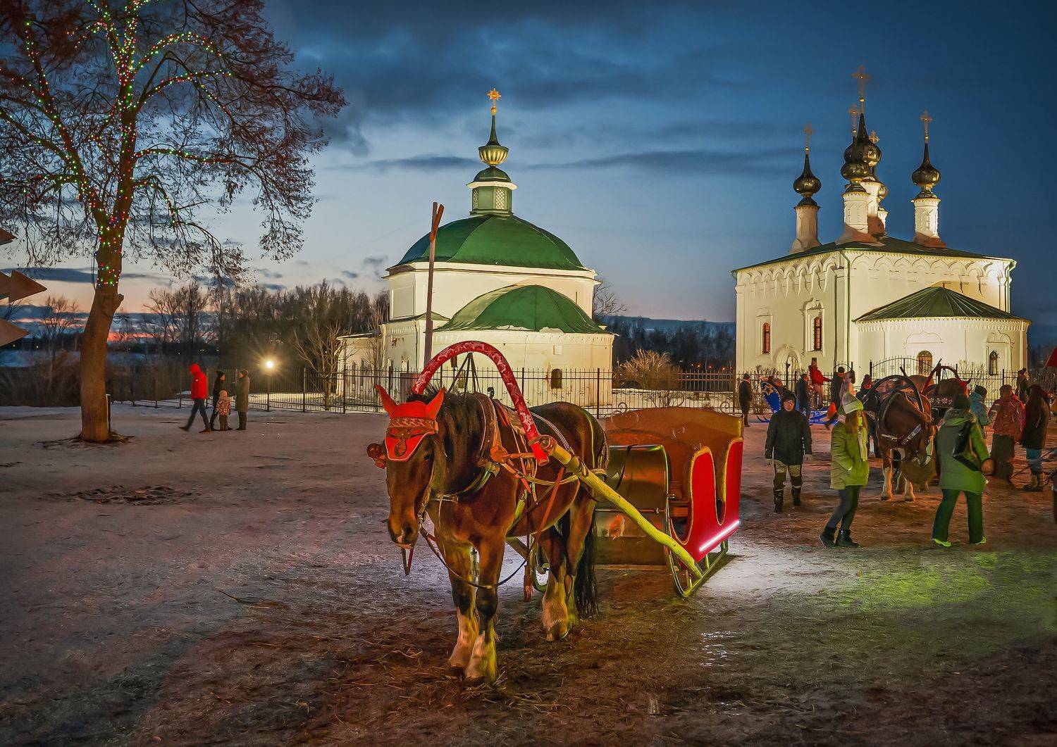 суздаль., первые, числа, января., снега, -, маловато., Бирюков Вячеслав