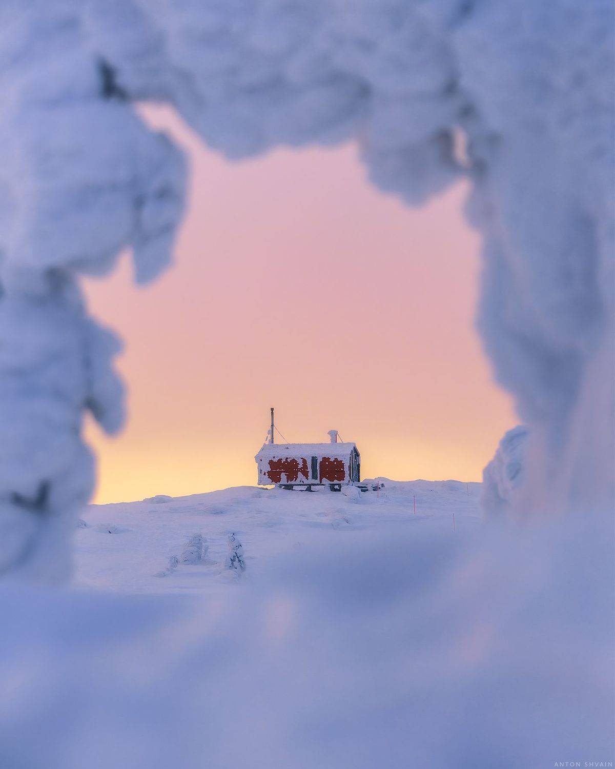 , Антон Шваин