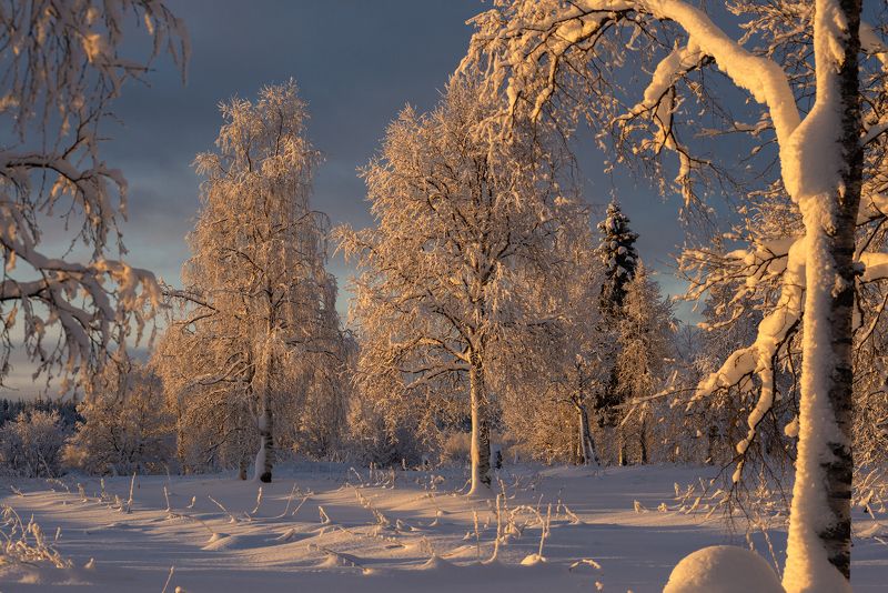 север, кольский, заполярье,  фото превью