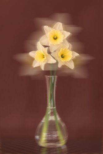 Springtime