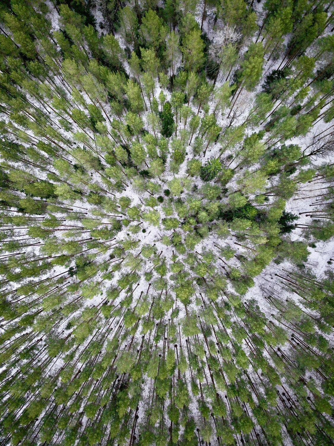 , Сергей Фаренюк