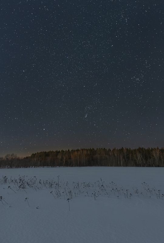 ночь звезды созвездие орион зима деревня снег сириус венера Звёздная ночь за городом фото превью