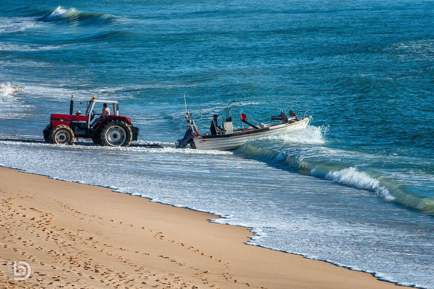 , Дмитрий Бакулин
