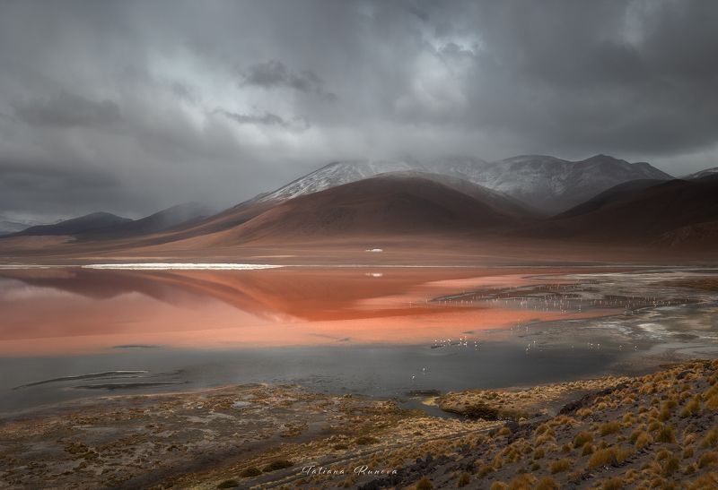 Лагуна Колорада. Перед грозой фото превью