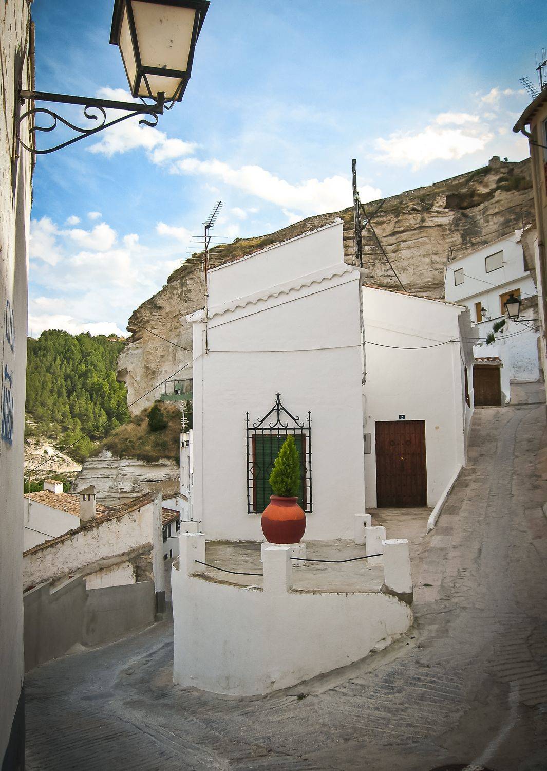 , Максимова Дария