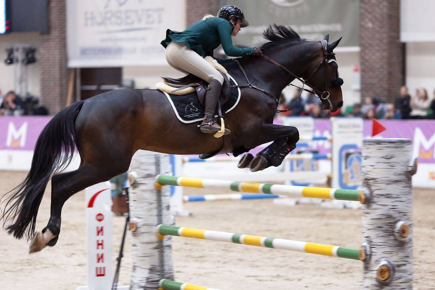 конкур, спорт, соревнования, репортаж, sport, competition, horses, jump, Стукалова Юлия