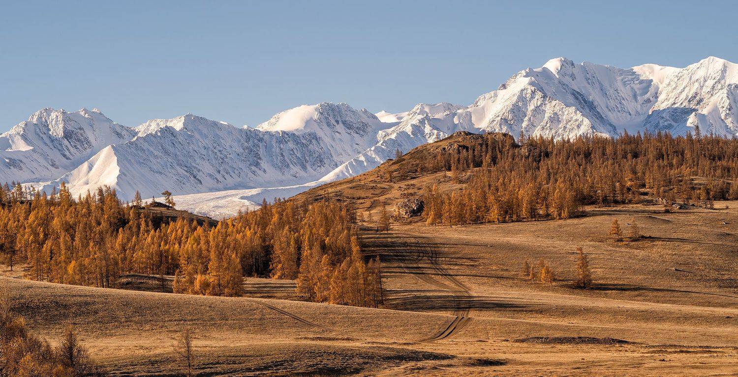 Алтай, степь. Автор: Лариса Николаевна Дука , Лариса Николаевна Дука