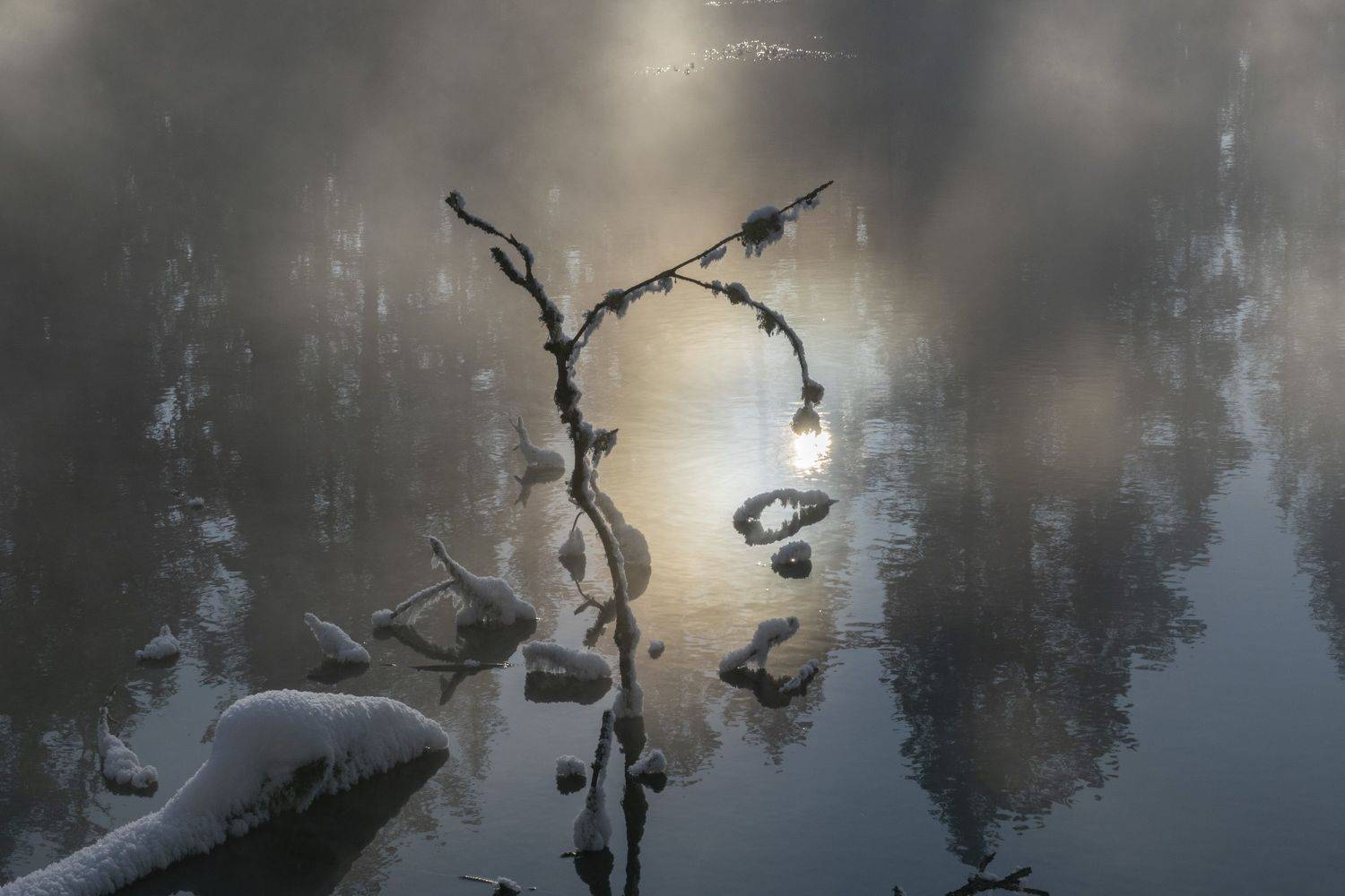 , Галина Луценко