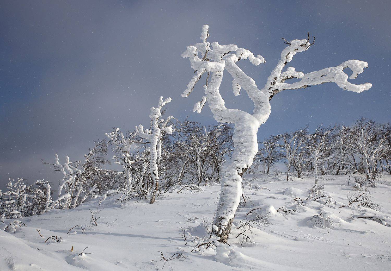 , Артем Удодов
