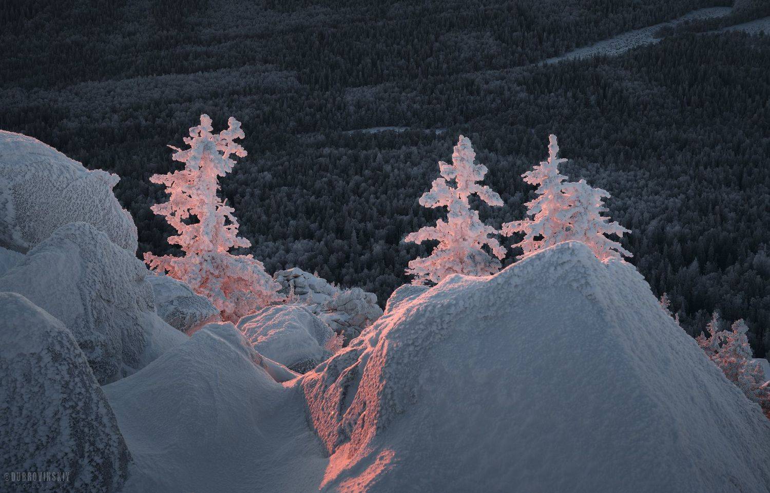 таганай, южный урал, елки, рассвет, иней, снег, зима, Дубровинский Михаил