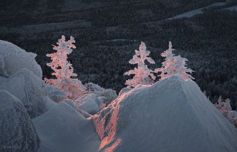 таганай, южный урал, елки, рассвет, иней, снег, зима Три сестры фото превью
