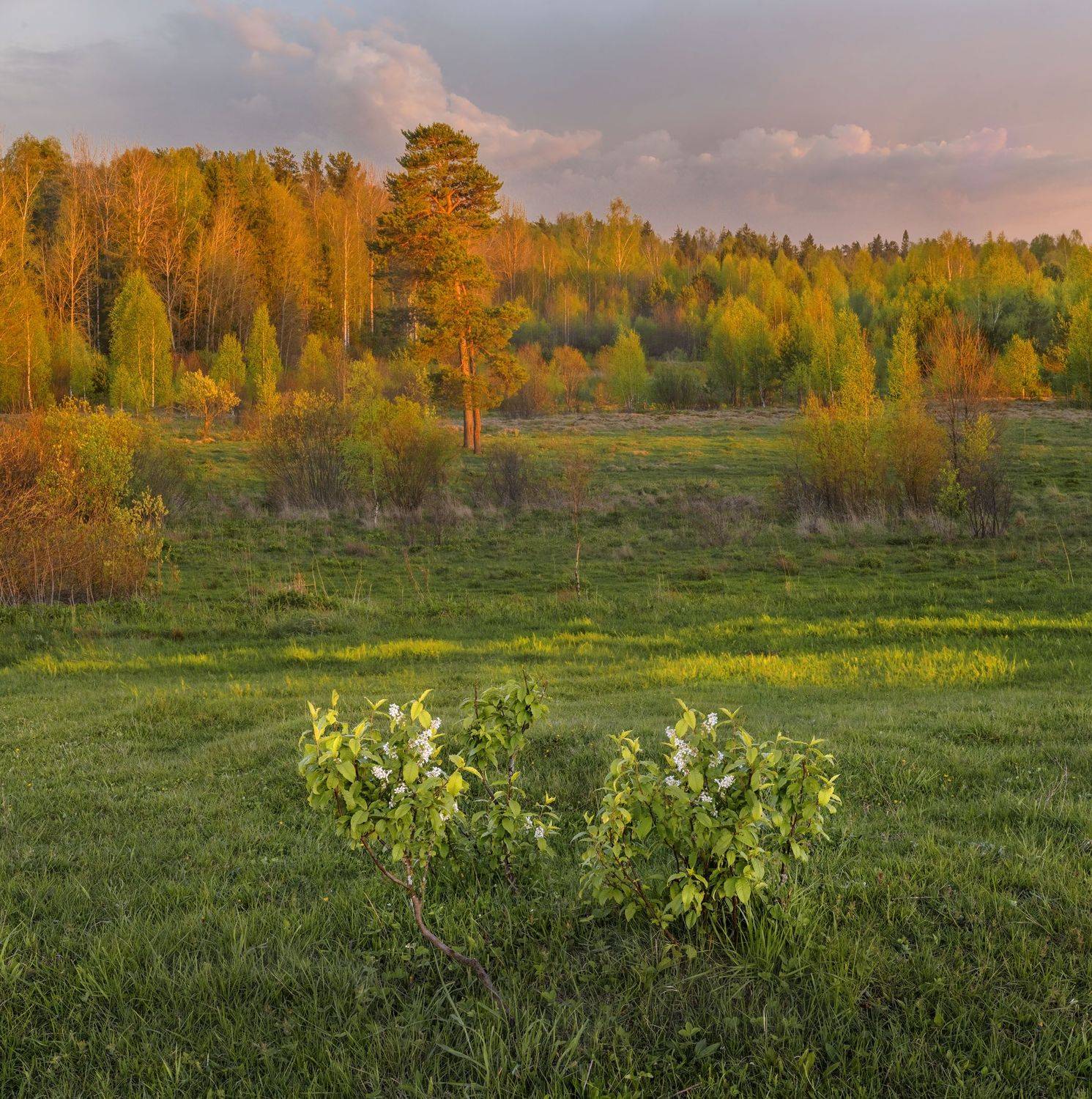 , Владимир Рябков