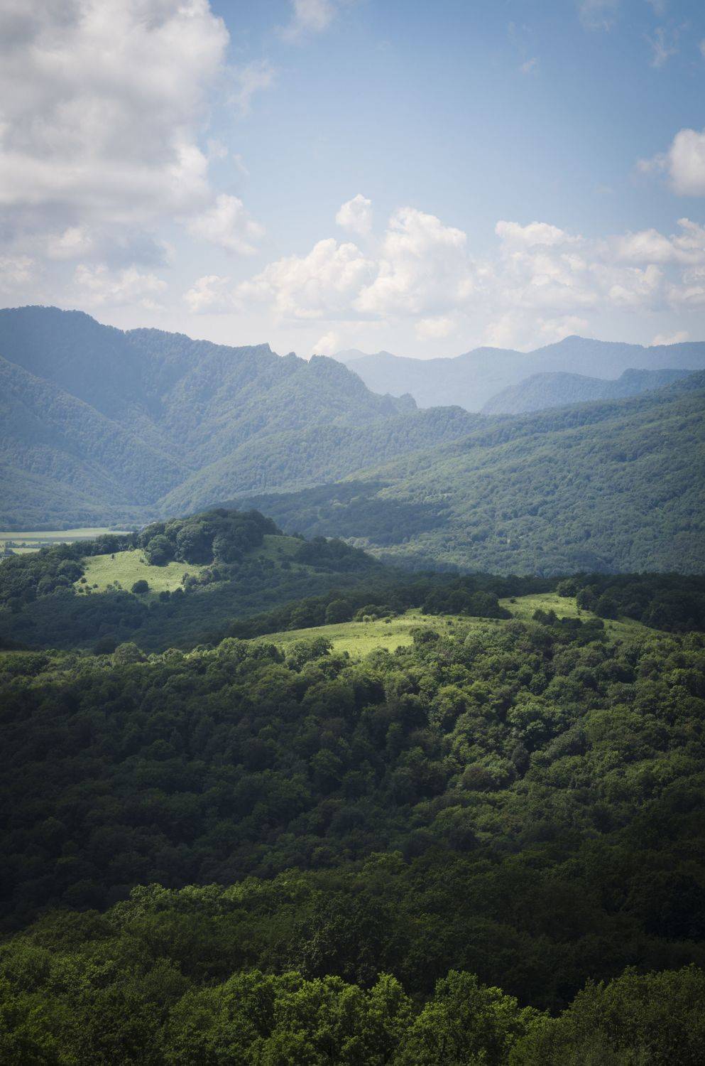 , Антон Литвин