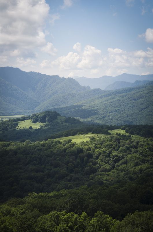 Трезубец фото превью