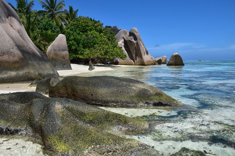 пейзаж, природа, путешествие Anse Source D\'Argent фото превью