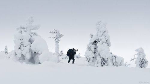 Чёрным по белому