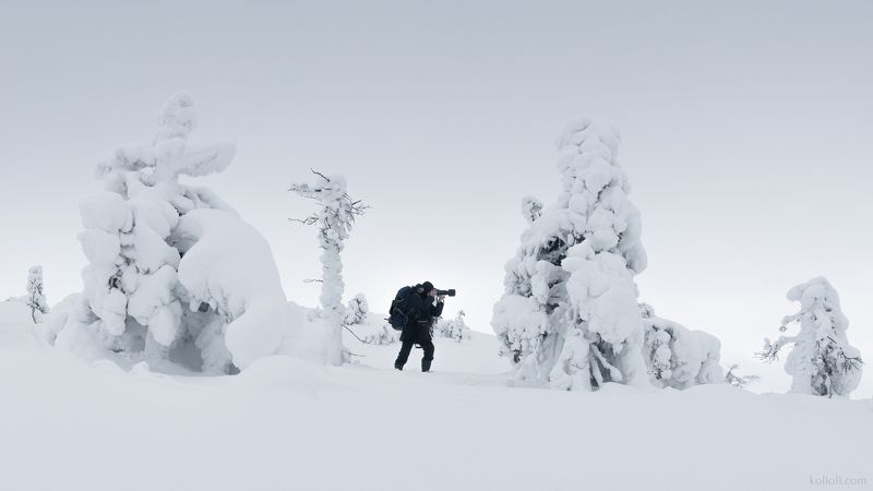 кандалакша, белизна, белый снег, зима, кольский полуостров, арт фото Чёрным по белому фото превью