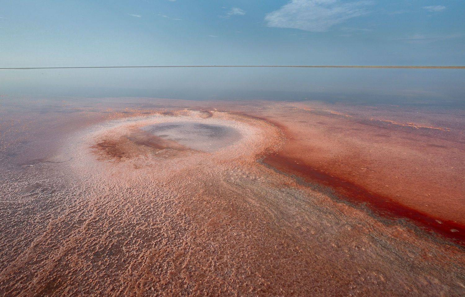 , Любовь Трифонова