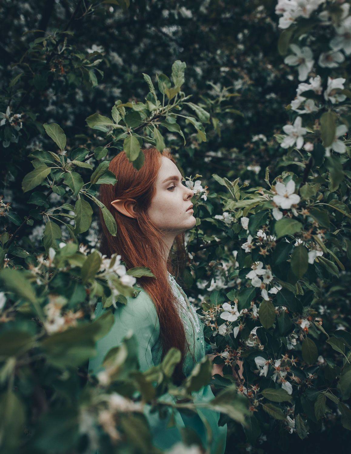 35mm, 4x5, 6x6, 6х6, 85mm, Art, Artnude, Ballerina, Ballet, Battur, Beautiful, Beauty, Canon, Canon 5D Mark III, Car, Color, Dance, Dress, Emotion, Eyes, Face, Flowers, Ganzo, Genre, GirlHair, Hero,LightLilac, Model, Mongol, Mongolia, Вероника Гергерт