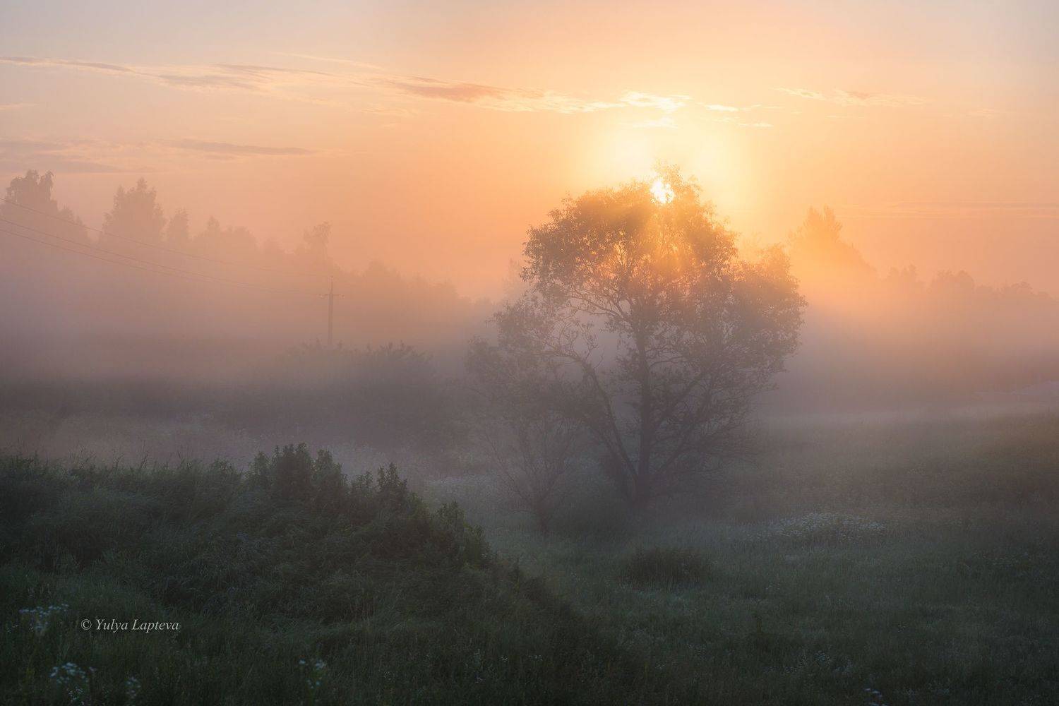 , Юлия Лаптева