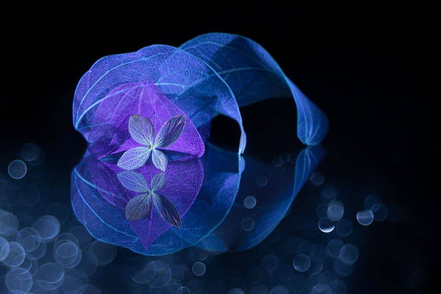 close-up, Игорь Копцев