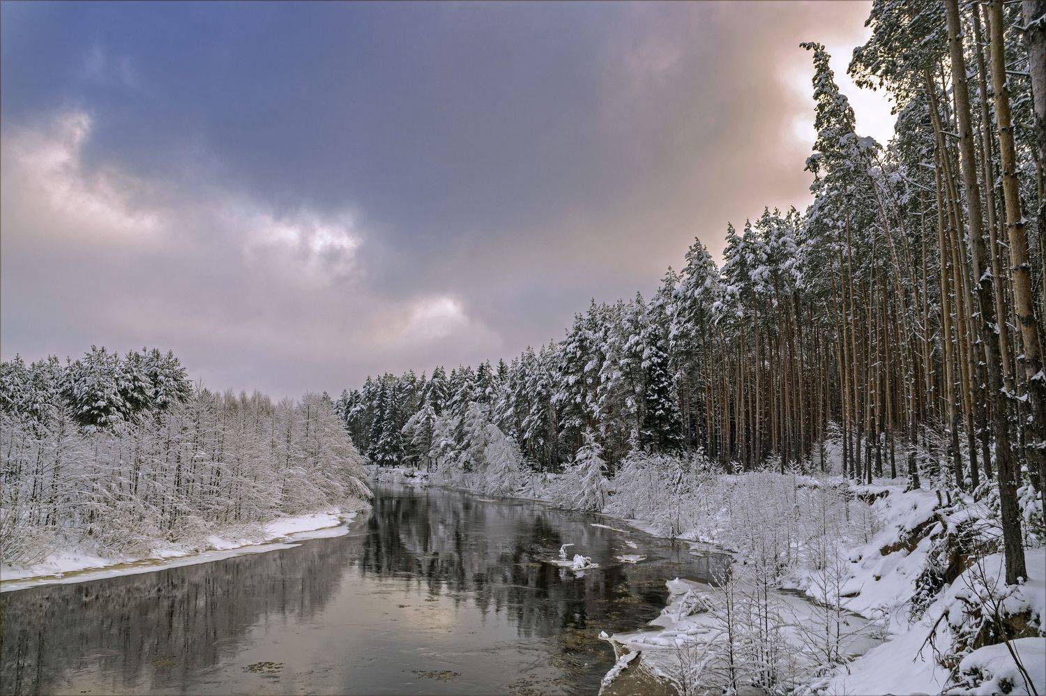 весна., Шитов Александр