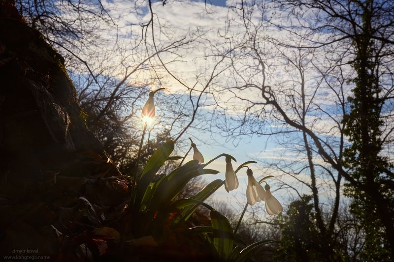 дмитр коваль, гималаи и крым вне треков, пейзаж как магия Небесные светильники фото превью