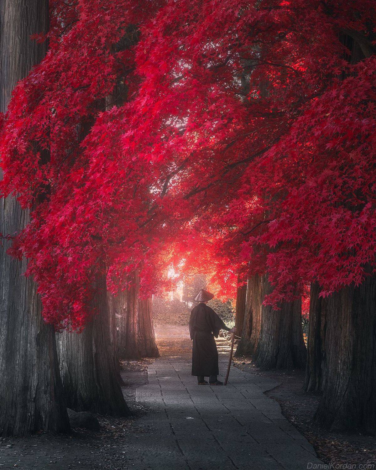 , Даниил Коржонов