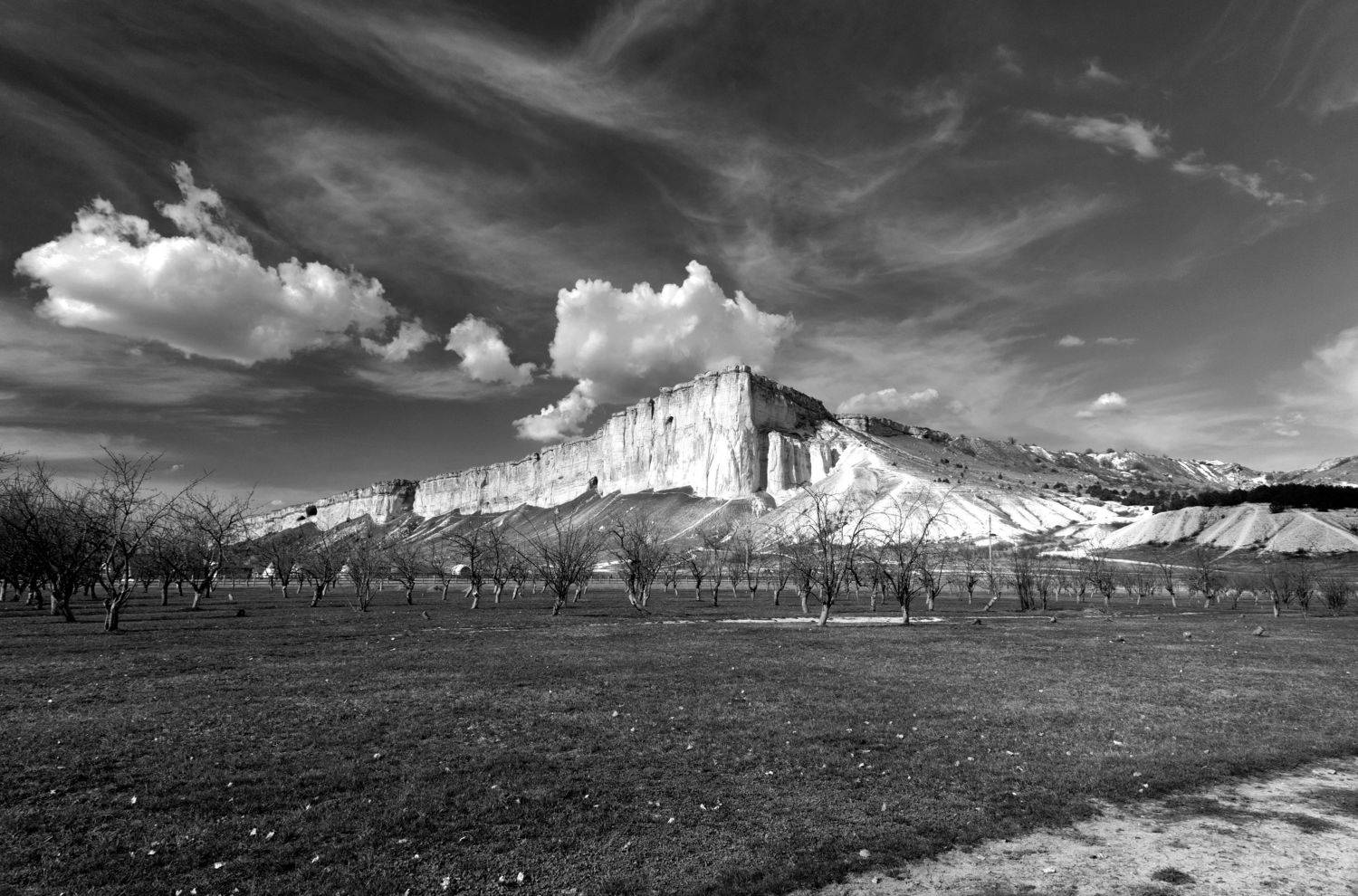 , Дарья Васильева