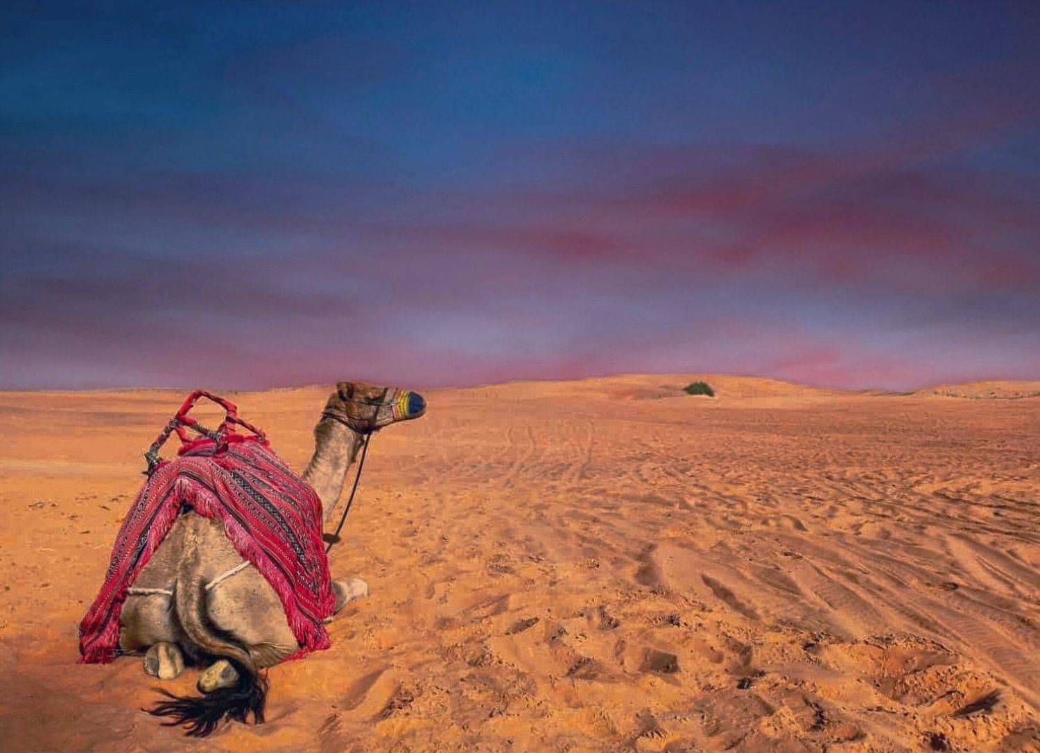 , Александр Шандов