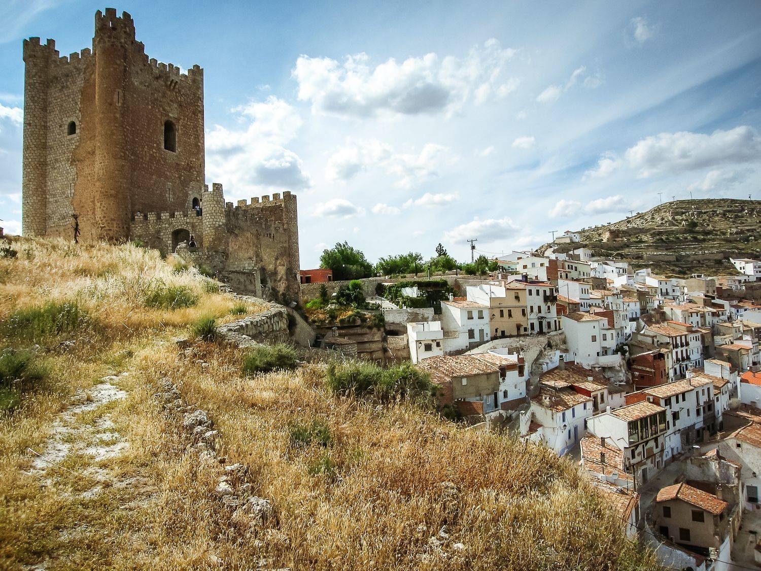 , Максимова Дария