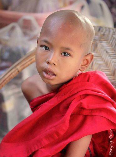 Маленький Будда