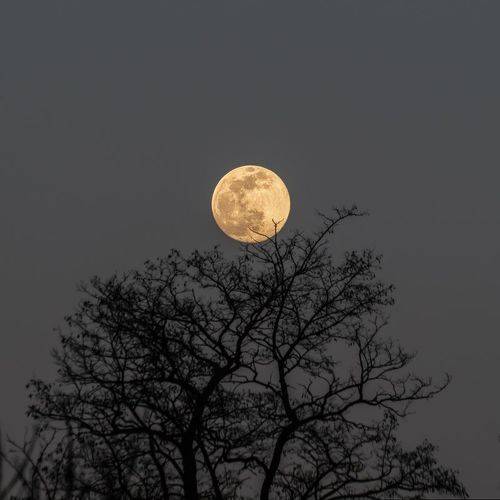 Просто луна