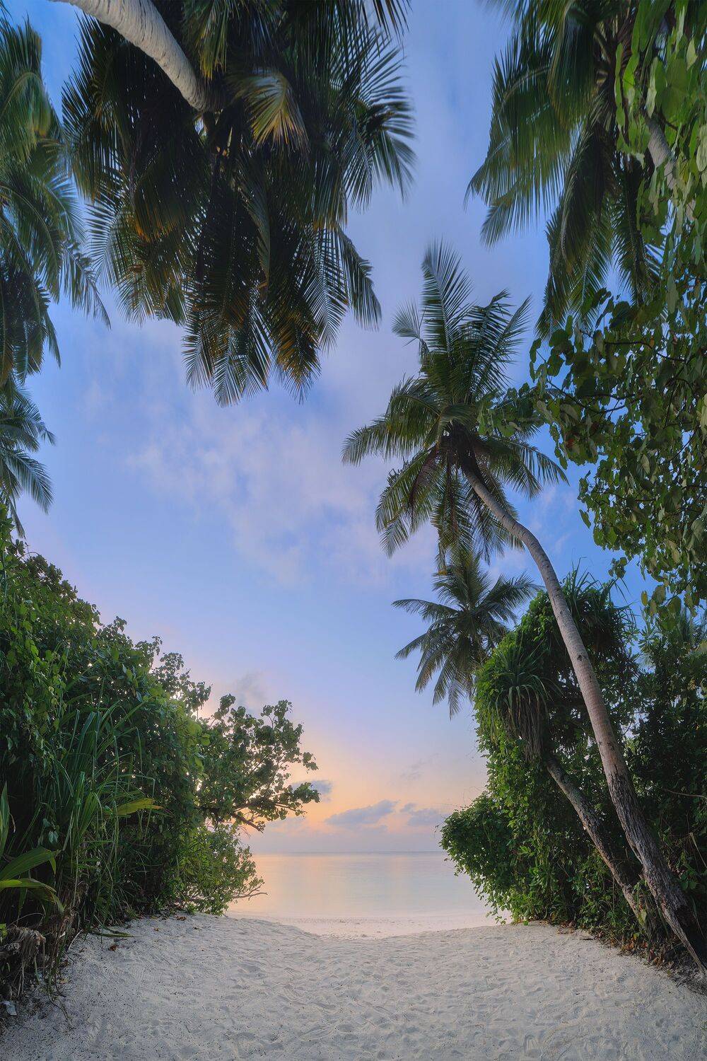 мальдивы, атолл, тропики, пейзаж, вода, природа, maldives, atoll, tropics, landscape, water, nature, Чаланов Иван