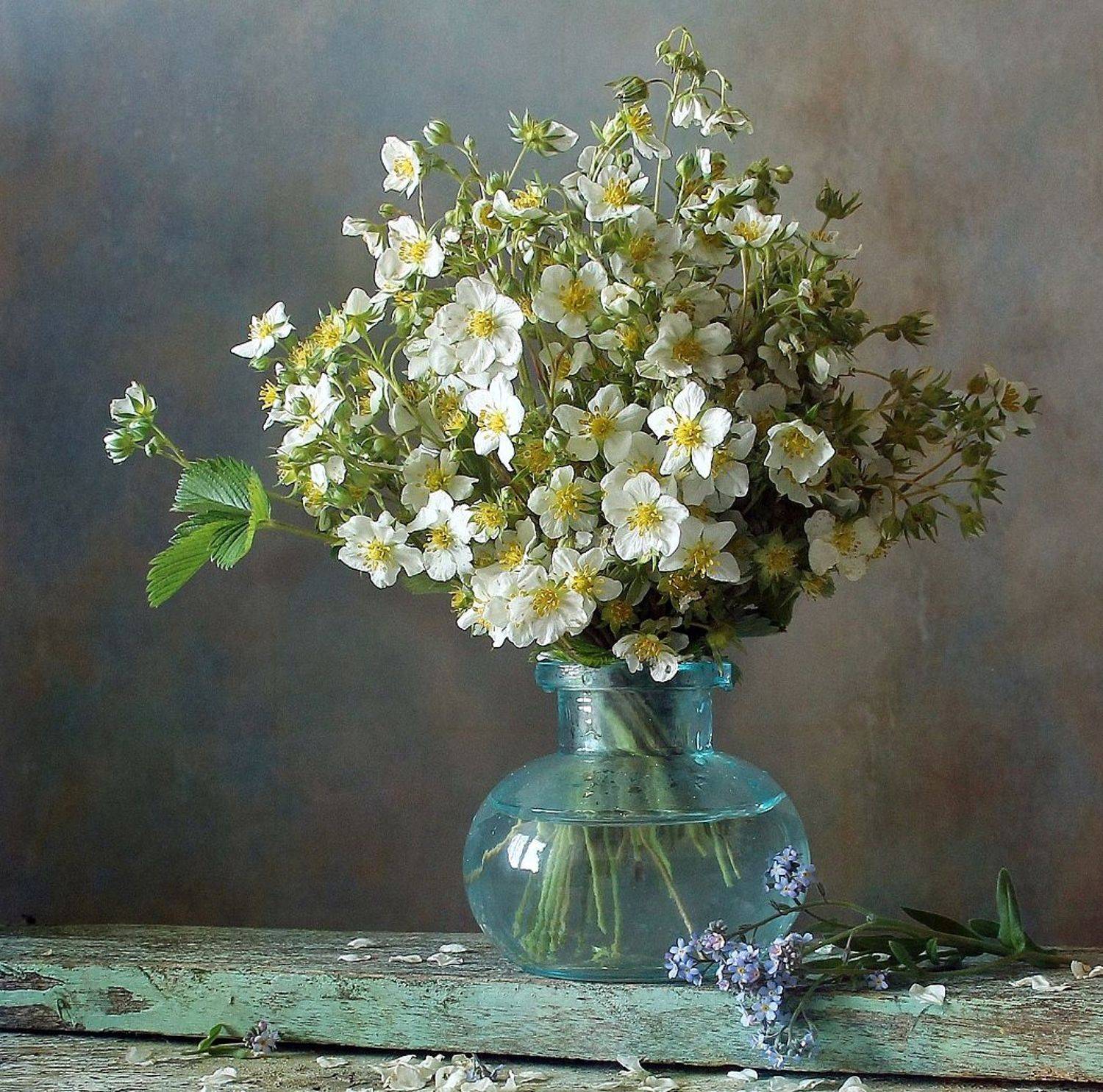 натюрморт, цветы, полевые цветы, лето, марина филатова, земляника, Марина Филатова