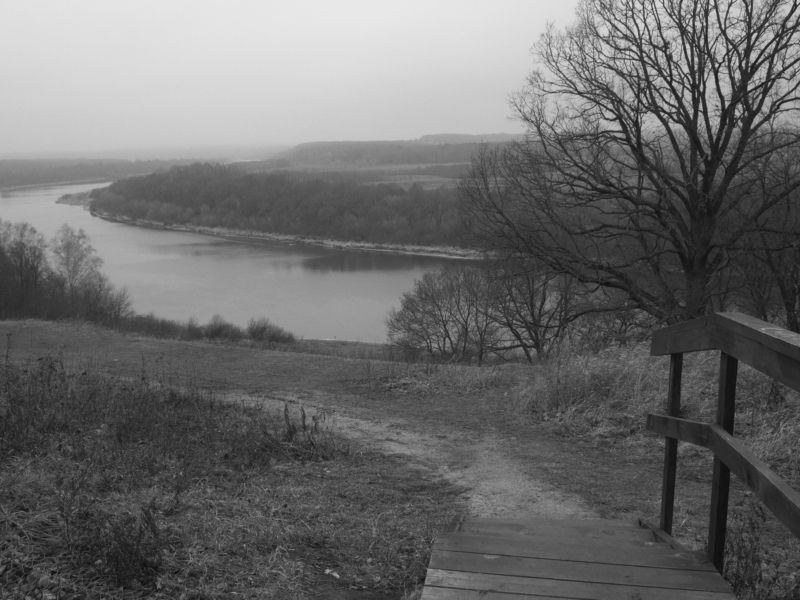 Monochrome, Black and white, Landscape, Russia, Moscow region The foggy days фото превью