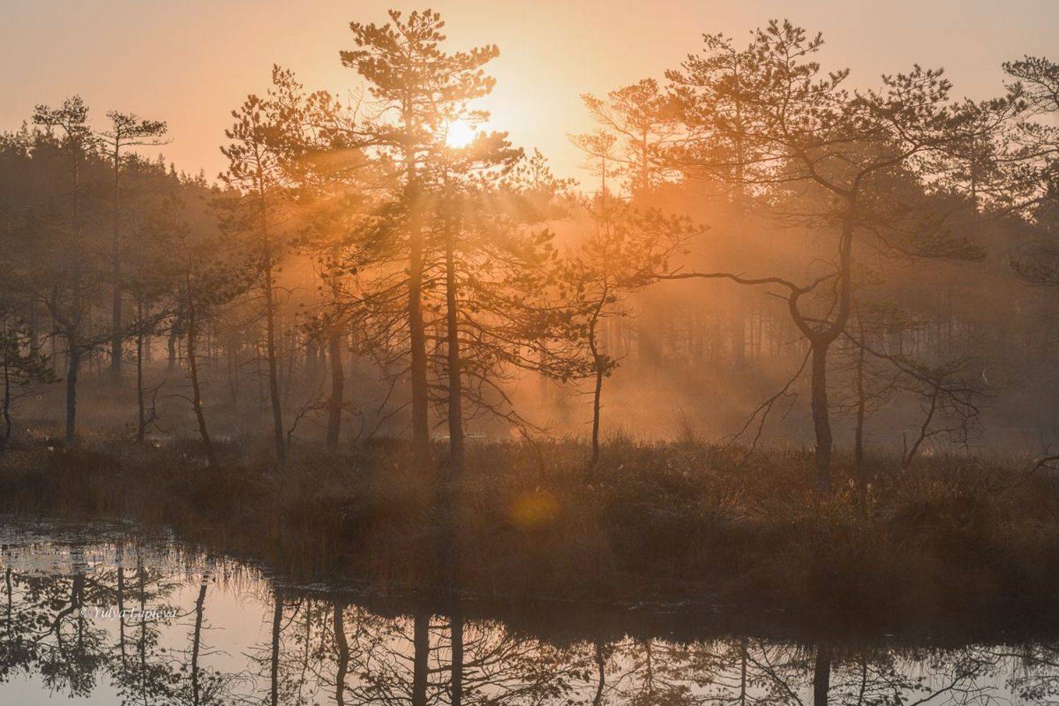 , Юлия Лаптева