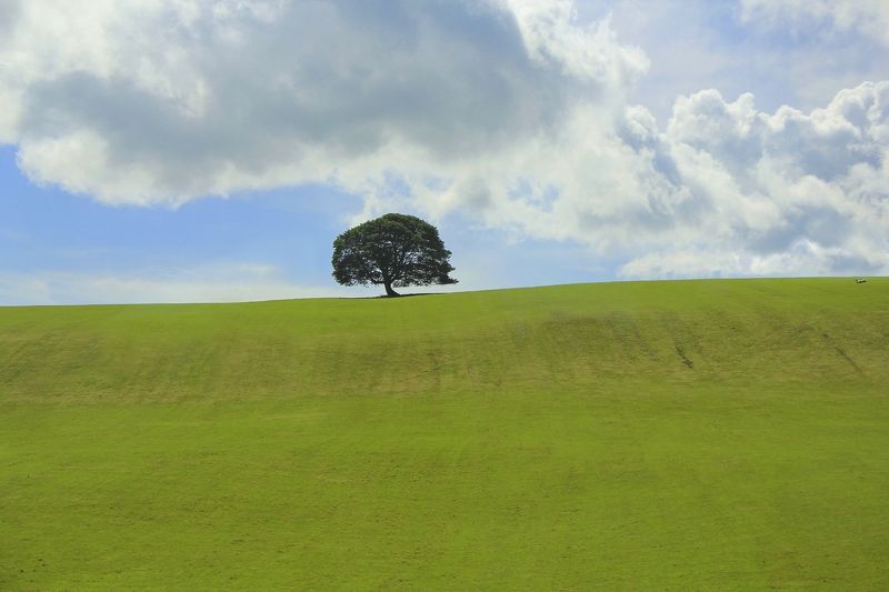 северная ирландия on the road to Belfast фото превью