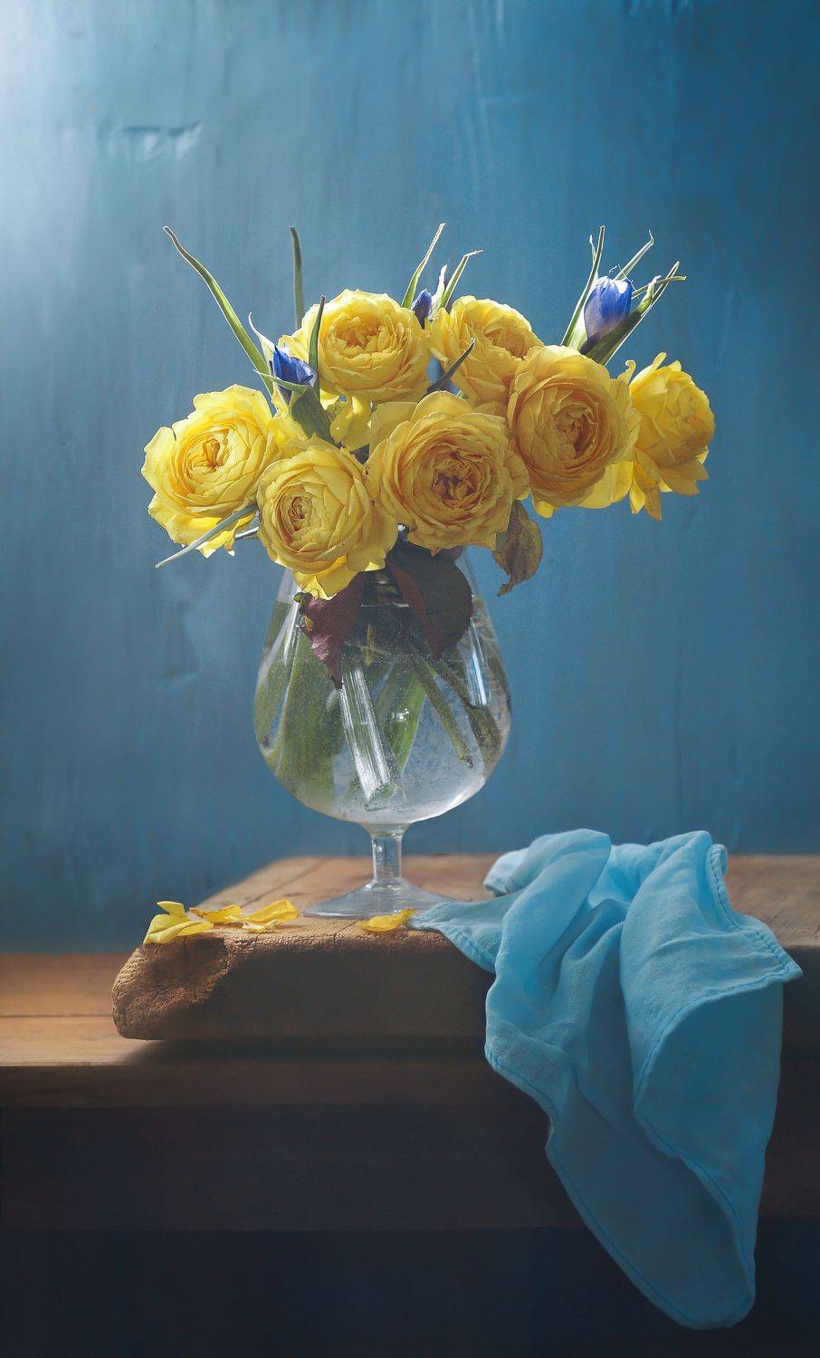 , Светлана Сушкевич