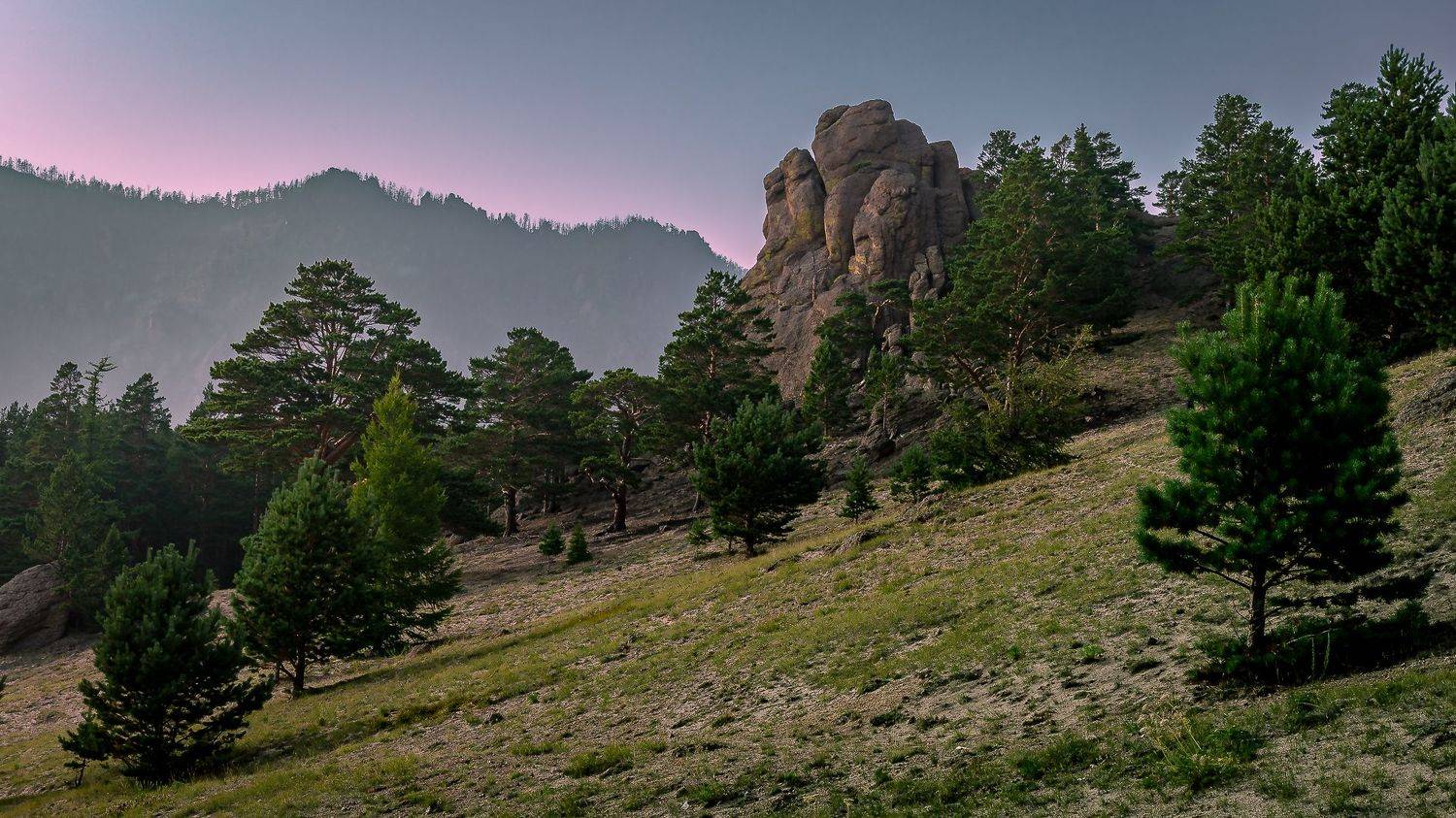 , Васильев Андрей