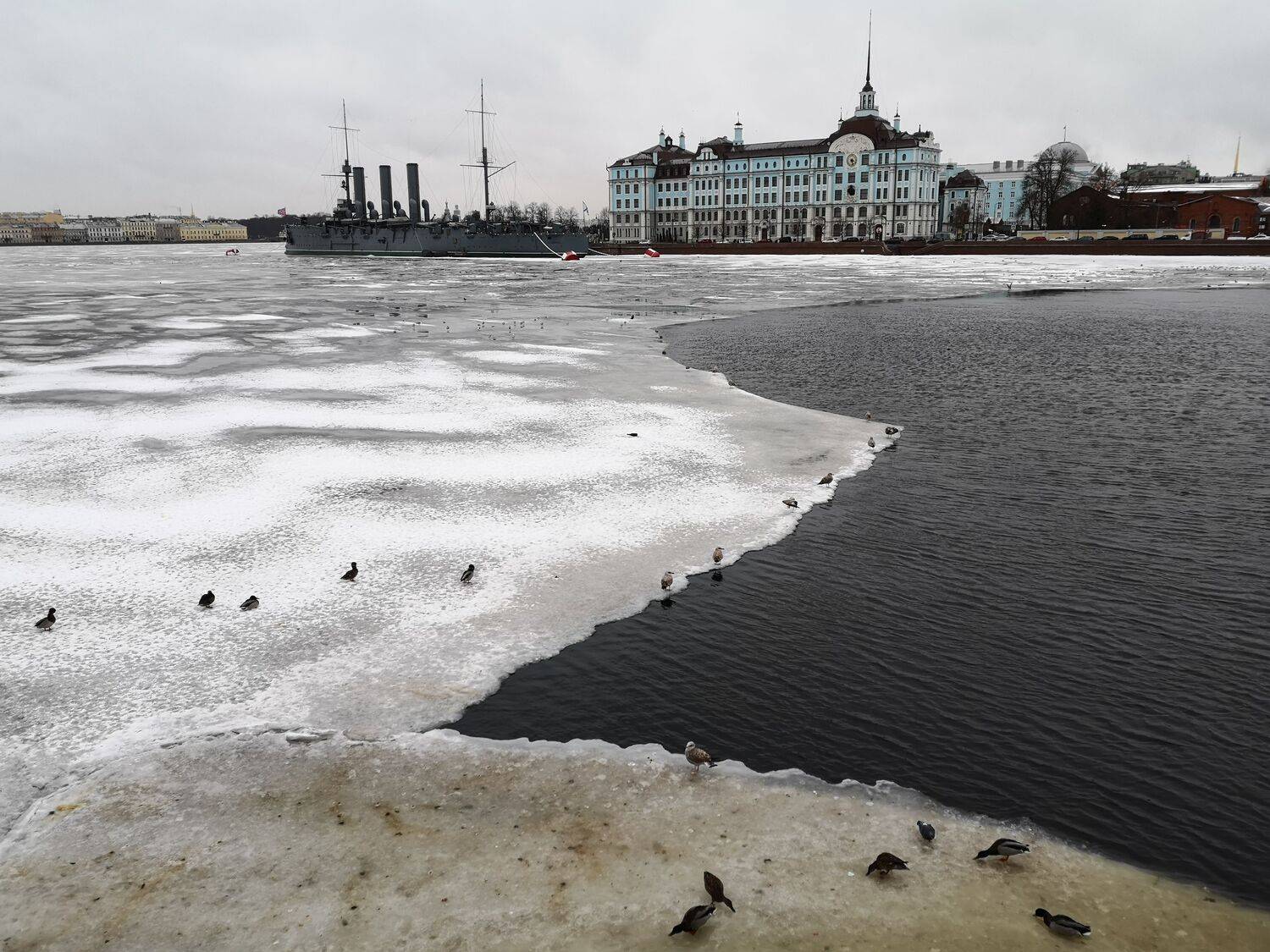 , Антон Лаба